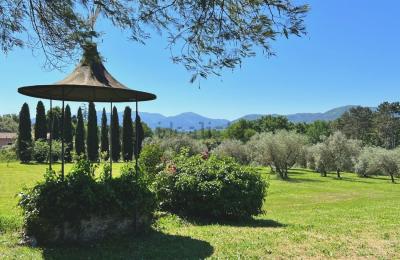 Historic Tuscan Estate with Infinity Pool